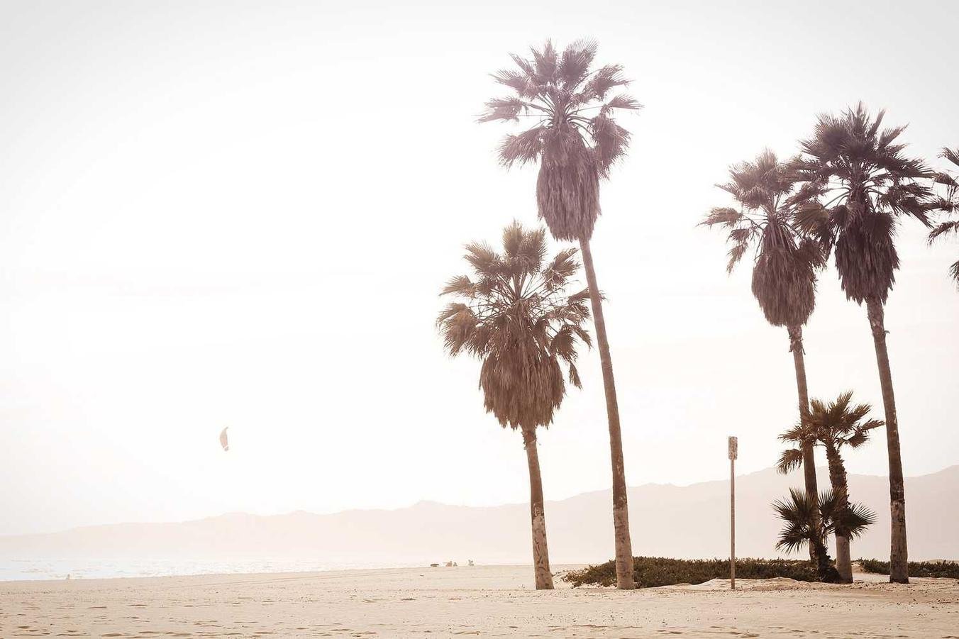 Omnis eum sed est minus